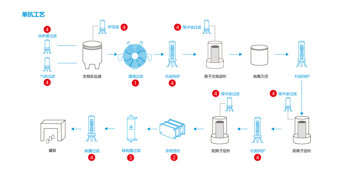 單抗流程圖.png